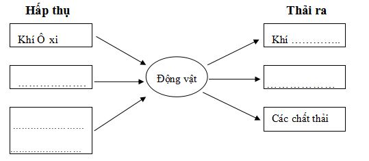 Đề thi học kì 2 môn Khoa học lớp 4