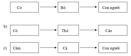 Đề thi học kì 2 môn Khoa học lớp 4