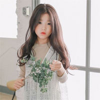 Giáo án Mĩ thuật Đan Mạch lớp 5 bài 4: Sáng tạo với những chiếc lá - Tiết 2