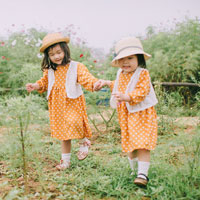 Giáo án Lịch sử lớp 4 bài 2: Nước Âu Lạc