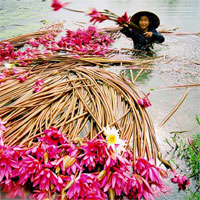 Tập bản đồ Địa lý lớp 8 bài 31: Đặc điểm khí hậu Việt Nam