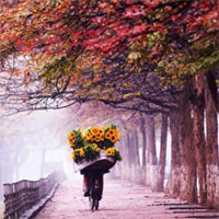 Tập bản đồ Địa lý lớp 8 bài 32: Các mùa khí hậu và thời tiết ở nước ta