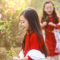 Giáo án Lịch sử lớp 4 bài 12: Nhà Trần thành lập