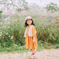 Giáo án Lịch sử lớp 4 bài 6: Ôn tập