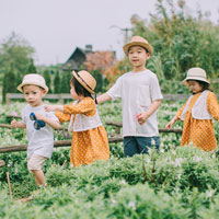 Giáo án Lịch sử lớp 4 bài 8: Cuộc kháng chiến chống quân Tống xâm lược lần thứ nhất (năm 981)