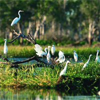 Tập bản đồ Địa lý lớp 8 bài 38: Bảo vệ tài nguyên sinh vật Việt Nam