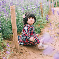 Giáo án Lịch sử lớp 4 bài 16: Chiến thắng Chi Lăng