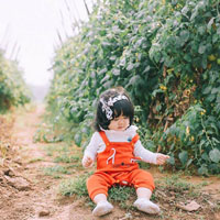 Giáo án Lịch sử lớp 4 bài 17: Nhà Hậu Lê và việc tổ chức quản lí đất nước