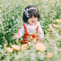 Giáo án Lịch sử lớp 4 bài 19: Văn học và khoa học thời Hậu Lê