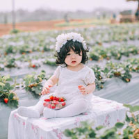 Giáo án Lịch sử lớp 4 bài 20: Ôn tập