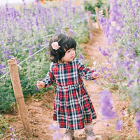 Giáo án Lịch sử lớp 4 bài 22: Cuộc khẩn hoang ở Đàng Trong