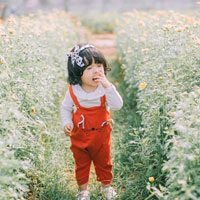 Giáo án Lịch sử lớp 4 bài 23: Thành thị ở thế kì XVI - XVII