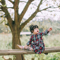 Giáo án Lịch sử lớp 4: Ôn tập học kì 1