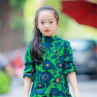 Giáo án Mĩ thuật Đan Mạch lớp 1 bài 1: Cuộc dạo chơi của đường nét - Tiết 1