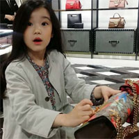 Giáo án Mĩ thuật Đan Mạch lớp 2 bài 2: Những con vật sống dưới nước -Tiết 2