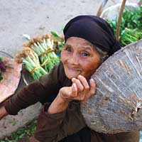 Lập dàn ý tả bà cụ bán hàng lớp 5