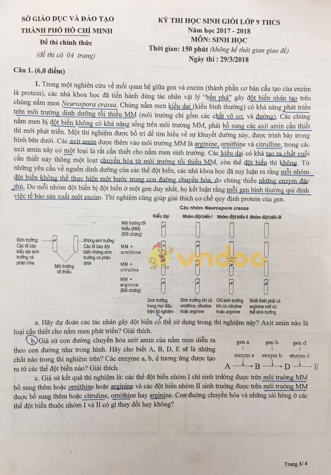 Đề thi chọn học sinh giỏi lớp 9 môn Sinh học Sở GD&ĐT Thành Phố Hồ Chí Minh năm học 2017 - 2018