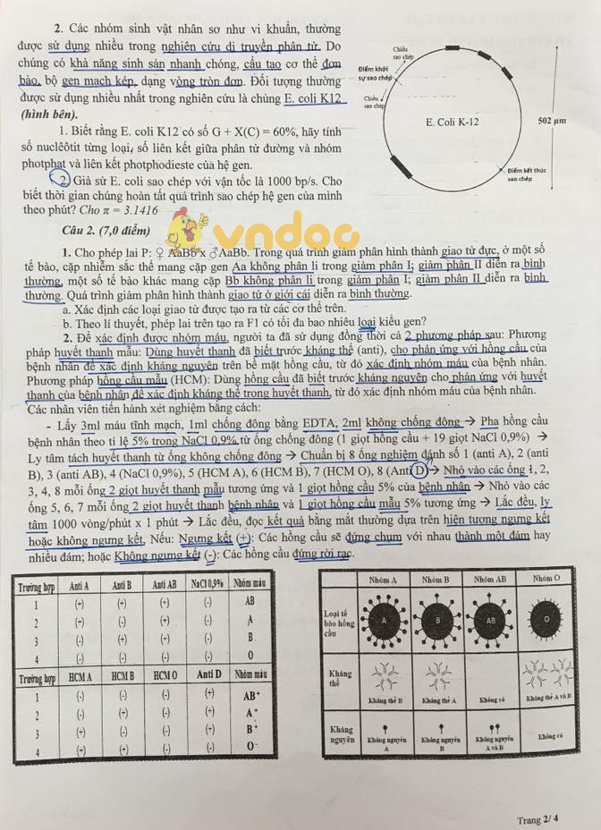 Đề thi chọn học sinh giỏi lớp 9 môn Sinh học Sở GD&ĐT Thành Phố Hồ Chí Minh năm học 2017 - 2018