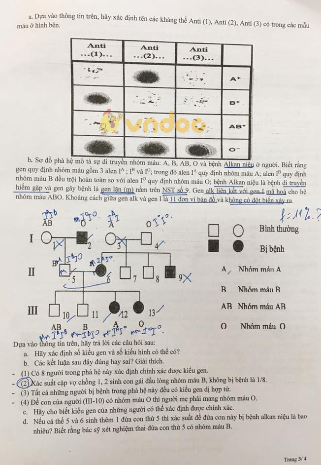 Đề thi chọn học sinh giỏi lớp 9 môn Sinh học Sở GD&ĐT Thành Phố Hồ Chí Minh năm học 2017 - 2018