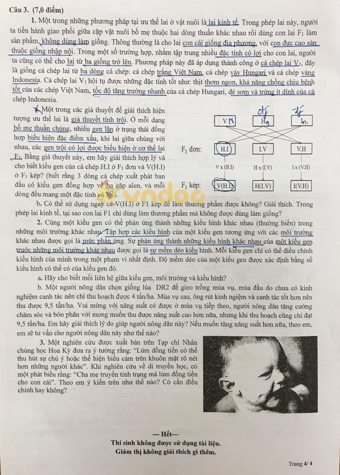 Đề thi chọn học sinh giỏi lớp 9 môn Sinh học Sở GD&ĐT Thành Phố Hồ Chí Minh năm học 2017 - 2018