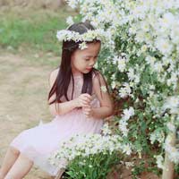 Đề thi học kì 2 môn Tin học lớp 3 năm học 2017 - 2018 theo Thông tư 22