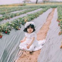 Giáo án Lịch sử lớp 4 bài 25: Quang Trung đại phá quân Thanh (năm 1789)