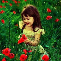 Đề thi học kì 2 môn Tiếng Việt lớp 5 trường tiểu học Chu Văn An năm 2016 - 2017