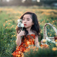 Đề thi học kì 2 môn Toán lớp 5 trường Tiểu học Trần Hưng Đạo, Đắk Lắk  năm 2016 - 2017