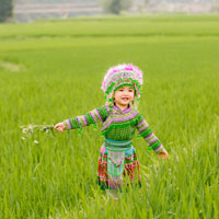 Giáo án Lịch sử lớp 5 bài 1: "Bình Tây Đại nguyên soái" Trương Định