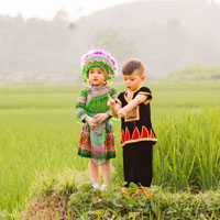 Giáo án Lịch sử lớp 5 bài 3: Cuộc phản công ở kinh thành Huế