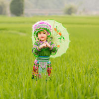 Giáo án Lịch sử lớp 5 bài 6: Quyết chí ra đi tìm đường cứu nước