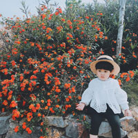 Giáo án Lịch sử lớp 5 bài 22: Đường Trường Sơn