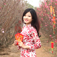 Bài tập trắc nghiệm từ vựng tiếng Anh có đáp án