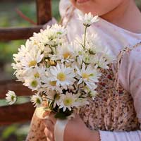 Ôn tập cuối học kì 2 Tiếng Việt lớp 4 - Tiết 2