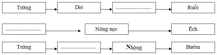 Đề thi học kì 2 môn Khoa học lớp 5