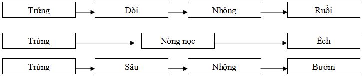 Đề thi học kì 2 môn Khoa học lớp 5