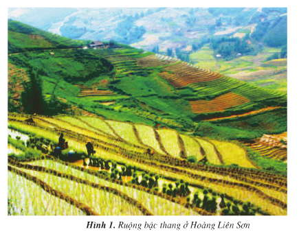 Giải bài tập SGK Địa lí 4 bài 3: Hoạt động sản xuất của người dân ở Hoàng Liên Sơn