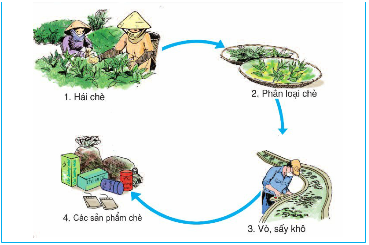 Giải bài tập SGK Địa lí 4 bài 4: Trung du Bắc Bộ