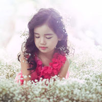 Giáo án Địa lý 4 bài 4: Trung du Bắc Bộ