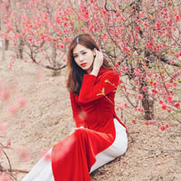 Giáo án Địa lý 4 bài 7: Hoạt động sản xuất của người dân ở Tây Nguyên