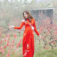 Giáo án Địa lý 4 bài 8: Hoạt động sản xuất của người dân ở Tây Nguyên (Tiếp theo)