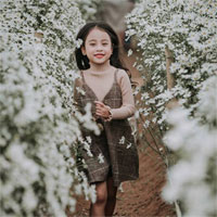 Đề thi học kì 2 môn Khoa học lớp 5 năm học 2017 - 2018 theo Thông tư 22