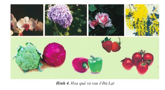 Giải bài tập SGK Địa lí 4 bài 9: Thành phố Đà Lạt