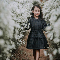 Đề thi học kì 2 môn Tiếng Việt lớp 3 năm học 2017 - 2018 theo Thông tư 22