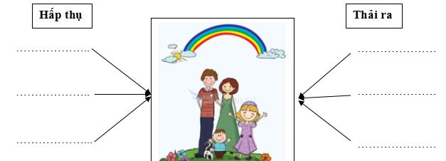 Đề thi học kì 2 môn Khoa học lớp 4