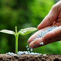 Giải bài tập SGK Khoa học 5 bài 66: Tác động của con người đến môi trường đất