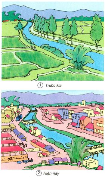 Giải bài tập Khoa học 5