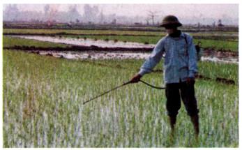 Giải bài tập Khoa học 5