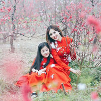 Giáo án Địa lý 4 bài 13: Hoạt động sản xuất của người dân ở đồng bằng Bắc Bộ