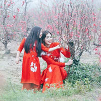 Giáo án Địa lý 4 bài 14: Hoạt động sản xuất của người dân ở đồng bằng Bắc Bộ (Tiếp theo)